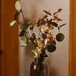 Kostaras Comfort Apartament Dhispílion