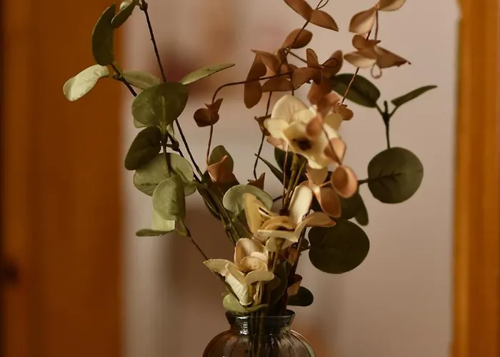 Kostaras Comfort Appartement Dhispílion